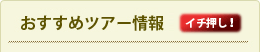 おすすめツアー情報