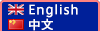 English website