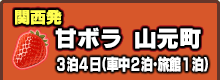 関西発 3泊4日宮城県内