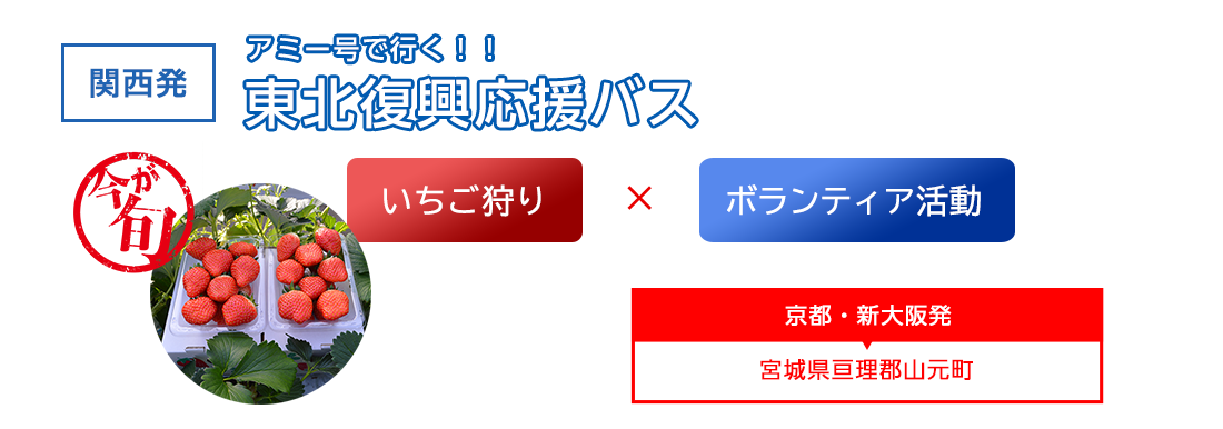 ボランティアといちご狩り 宮城県内 アミー号で行く！！関西発3泊4日 東北復興応援バス